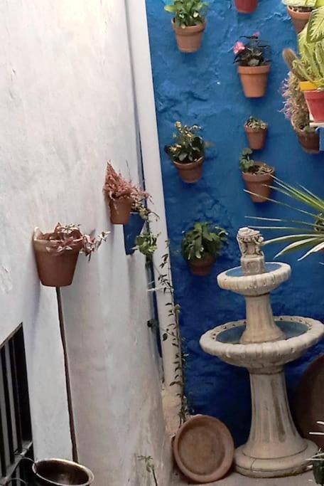 Casa Chaouen *