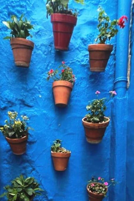 Hébergement de vacances Casa Chaouen *